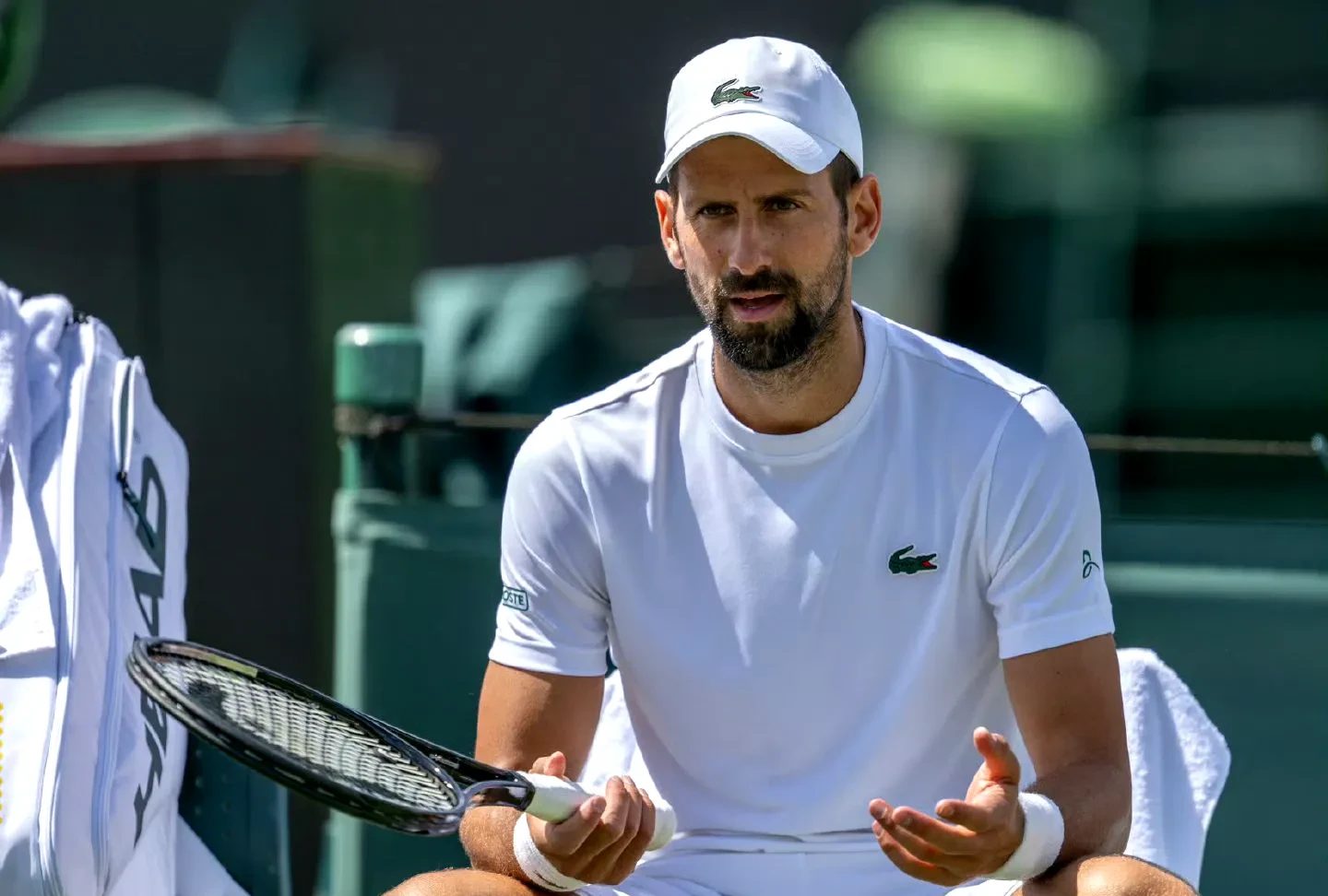 澳网轻取美网,德约科维奇刷新纪录 澳网轻取美网,德约科维奇刷新纪录